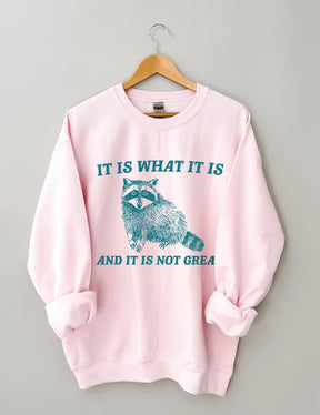 It Is What It Is And It Is Not Great Sweatshirt
